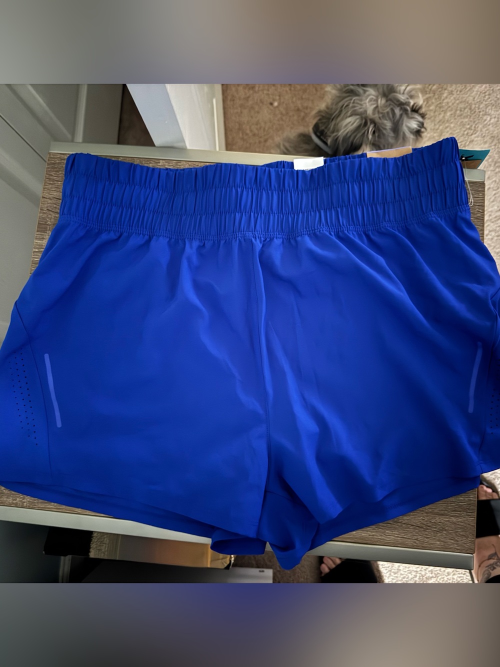 Asics Royal Blue Women's Athletic Running Shorts